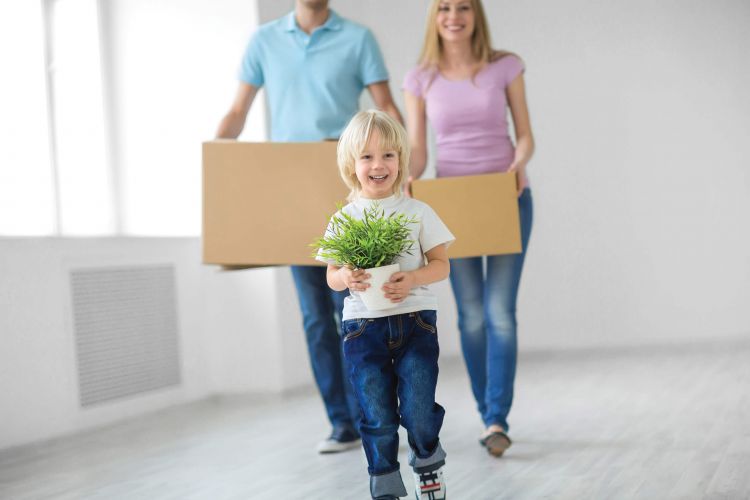House Prices Still Rising image